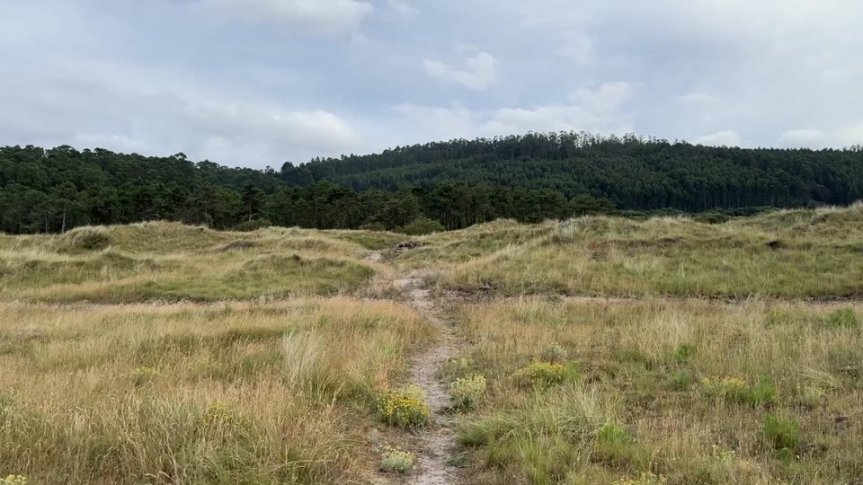 caminos