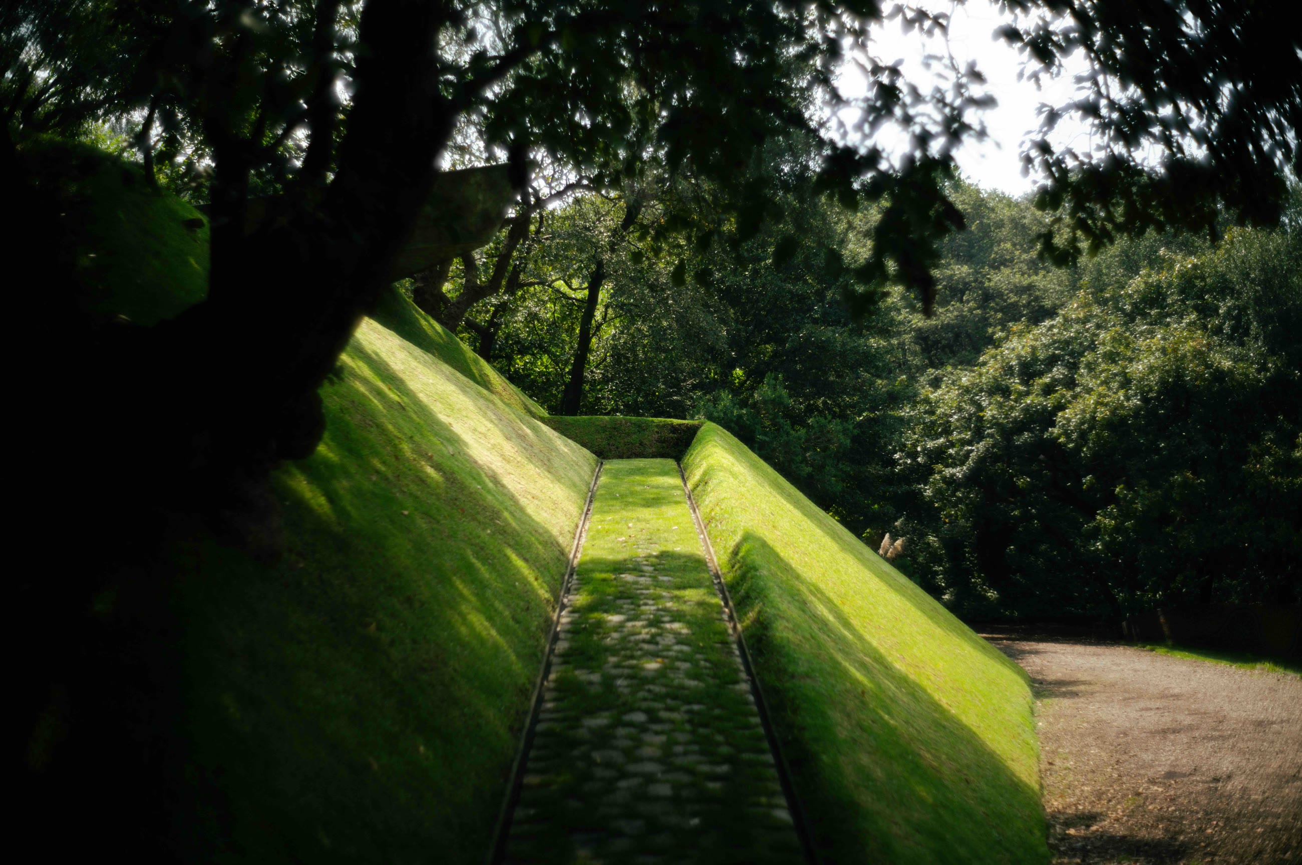 verde-escarabajo